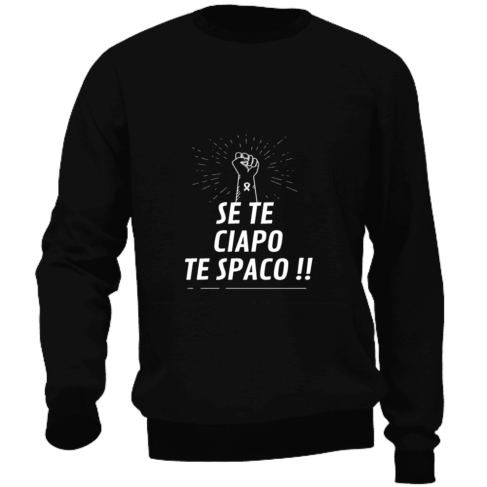 Felpa Maglia Uomo Veneto Casual Cotone multicolore