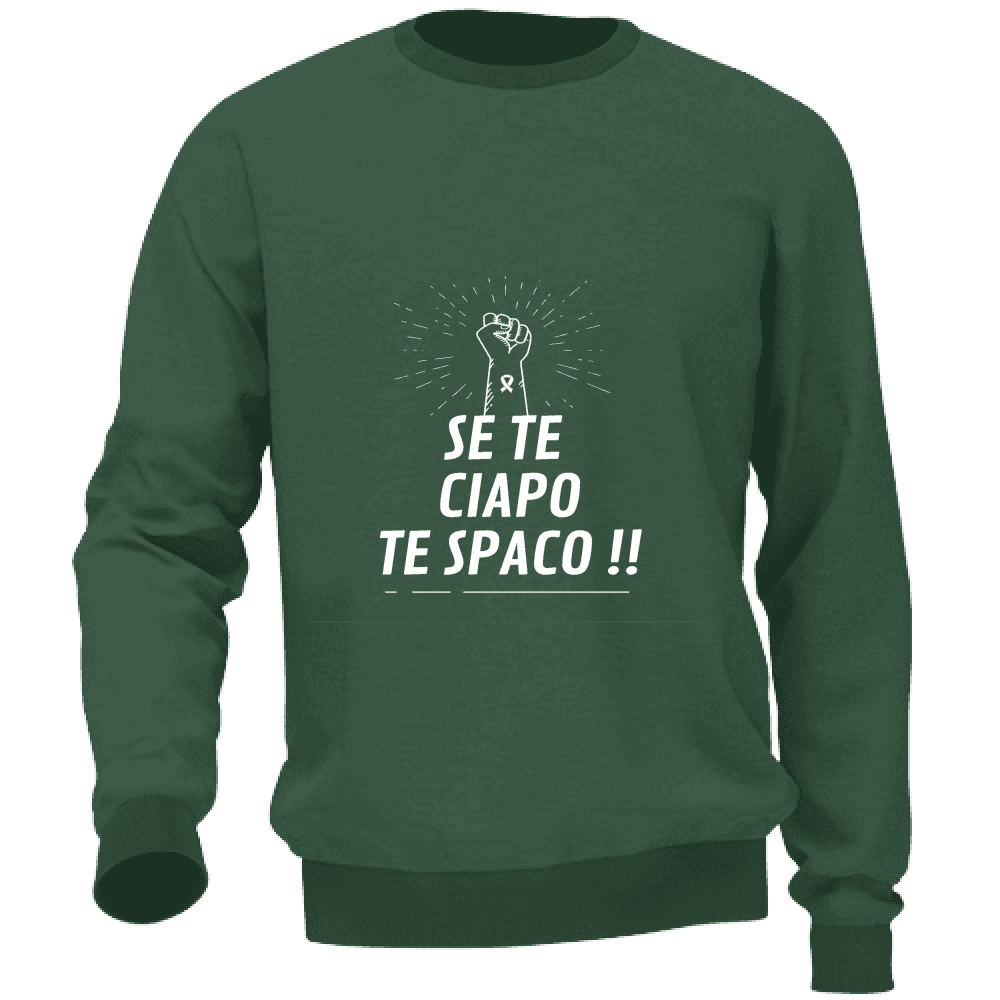 Felpa Maglia Uomo Veneto Casual Cotone multicolore