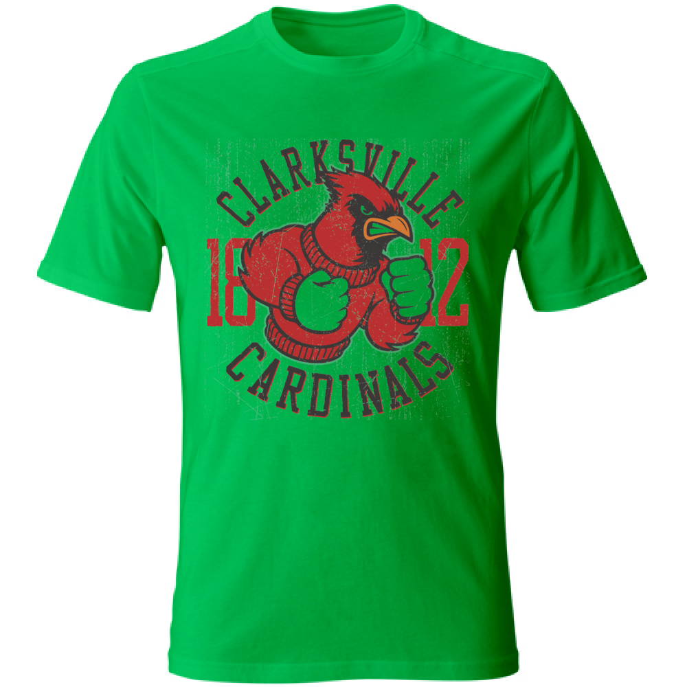 T-Shirt maglia maglietta Uomo manica corta vari colori cotone Cardinals