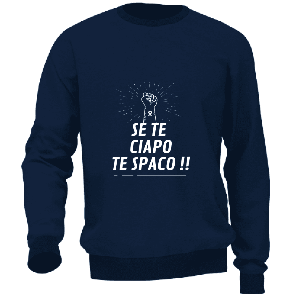 Felpa Maglia Uomo Veneto Casual Cotone multicolore