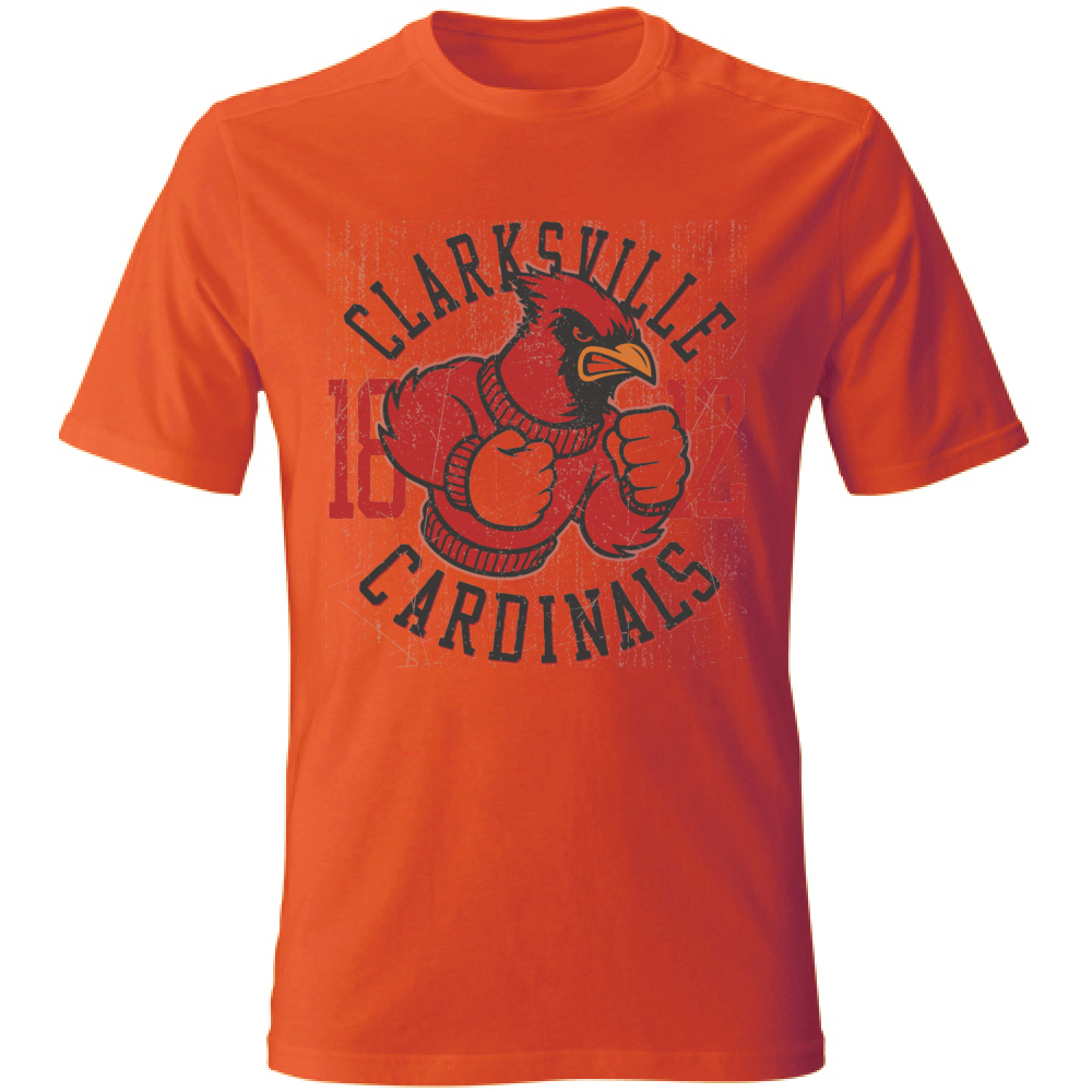 T-Shirt maglia maglietta Uomo manica corta vari colori cotone Cardinals