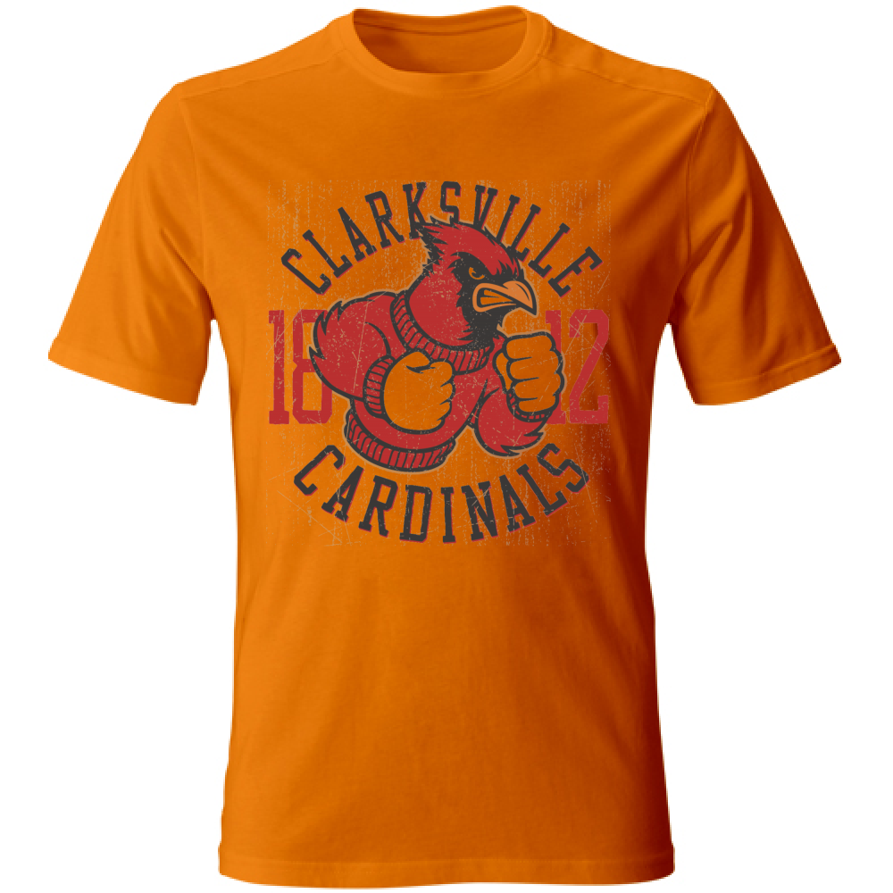 T-Shirt maglia maglietta Uomo manica corta vari colori cotone Cardinals