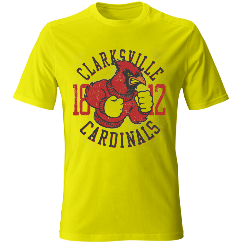 T-Shirt maglia maglietta Uomo manica corta vari colori cotone Cardinals