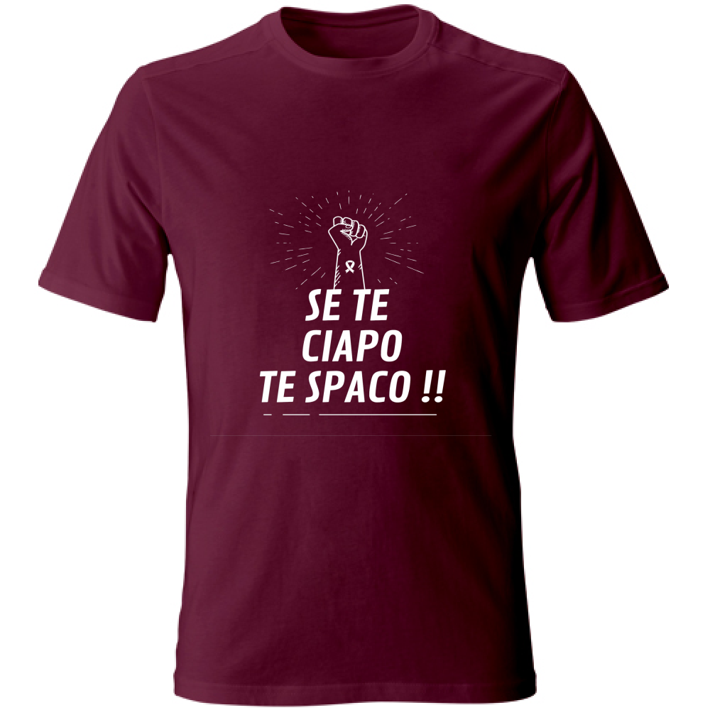 T-Shirt maglia maglietta Uomo cotone colori vari Veneto Humor