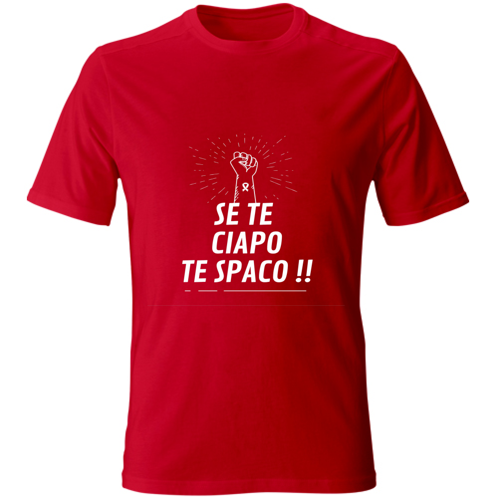 T-Shirt maglia maglietta Uomo cotone colori vari Veneto Humor